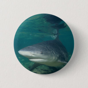Stierhai Button
