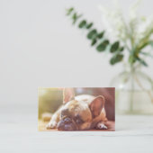 Stierhunde Visitenkarte (Stehend Vorderseite)