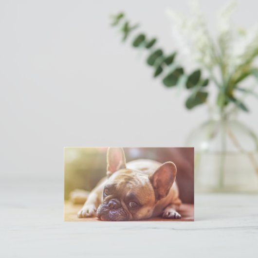 Stierhunde Visitenkarte (Stehend Vorderseite)