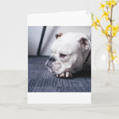 Stierkampf Karte (Gelbe Blume)