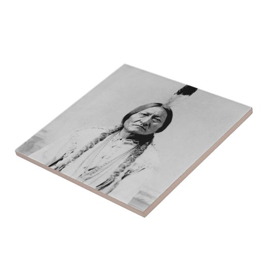 Stierstille Fliese (Seite)