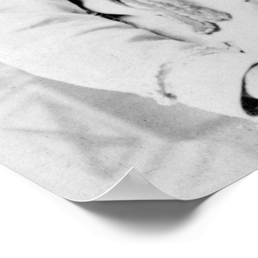 Stierstille Poster (Ecke)