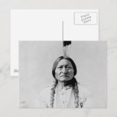 Stierstille Postkarte (Vorne/Hinten)