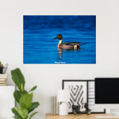 Stift Ente Poster (Heimbüro)