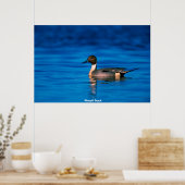 Stift Ente Poster (Küche)