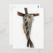 Stift-Kunst Postkarte (Vorne/Hinten)