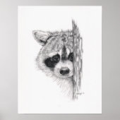 Stift Zeichnend "Peeking Raccoon" Poster (Vorne)