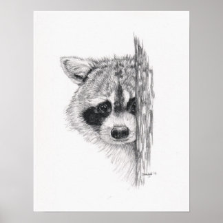 Stift Zeichnend "Peeking Raccoon" Poster