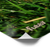 Stijldansende Fubby's in Narcissen jurk. Poster (Ecke)