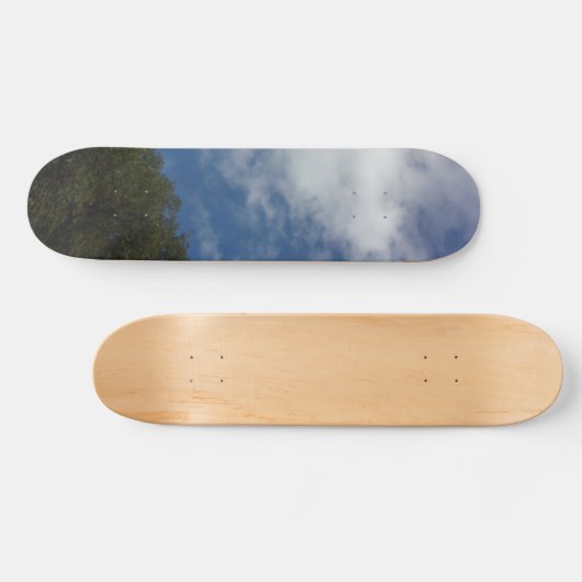 Stil und Design der Skateboards (Horizontal)