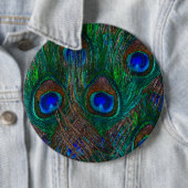 Stildekoration der Pfauenfedern in der Nacht Button (Beispiel)