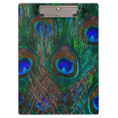 Stildekoration der Pfauenfedern in der Nacht Klemmbrett (Vorderseite)