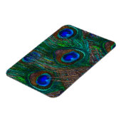 Stildekoration der Pfauenfedern in der Nacht Magnet (Linke Seite)