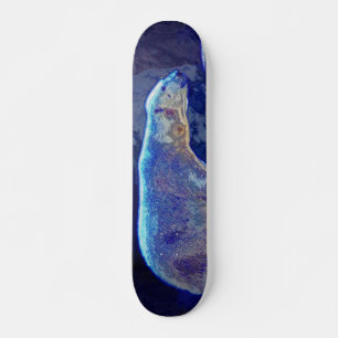 Stilftiger Polarbär Skateboard