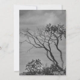 stilisierte amerikanische Gothic-Foto-Reprint von  Feiertagskarte