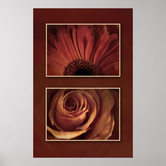Stilisierte Daisy Rose Floating Images Print Poster (Vorne)