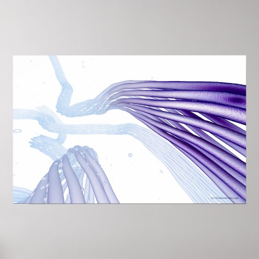 Stilisierte Nervenfasern Poster (Vorne)