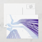 Stilisierte Nervenfasern Postkarte (Vorne/Hinten)