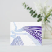 Stilisierte Nervenfasern Postkarte (Stehend Vorderseite)