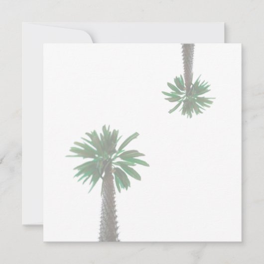 Stilisierte Palm Tree Pastel Green Tropical Flat C (Vorderseite)