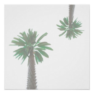Stilisierte Palmen Pastel Green Tropical Poster