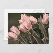 Stilisierte Tulips Postkarte (Vorne/Hinten)