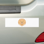 Stilisierter Löwe-Kopf Autoaufkleber (Auf Auto)
