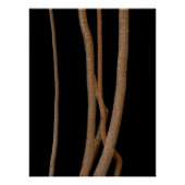 Still Life Fine Art Fotograf Poster (Vorderseite)