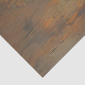 Still Life Peacock Feathers Pinecones Decoupage Seidenpapier (Detail)