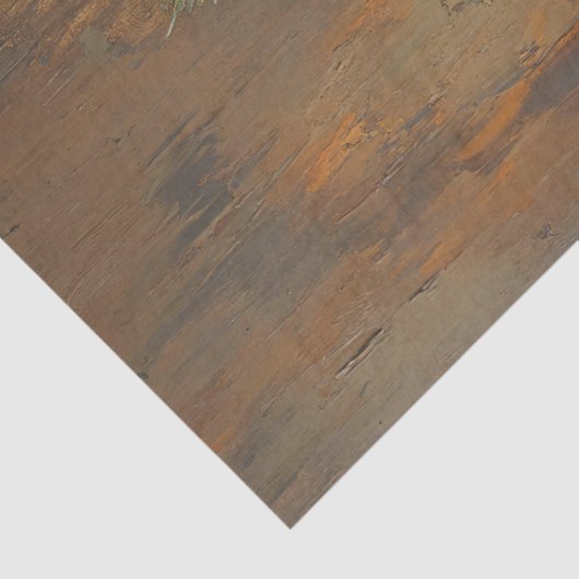 Still Life Peacock Feathers Pinecones Decoupage Seidenpapier (Detail)