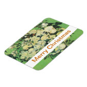 Still Life - Rosa in einer Vase. Magnet (Linke Seite)