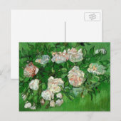 Still Life: Roses von Vincent van Gogh Postkarte (Vorne/Hinten)