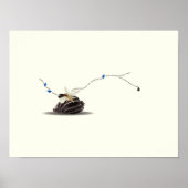 Still Life Seashell and Ivory Collage Poster (Vorne)