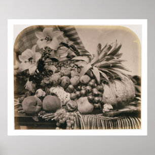 Still Life with Fruit, 1860 (sepia Foto) Poster