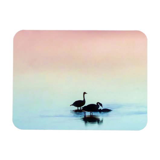 Still Magnet (Horizontal)