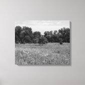 Still Prairie, Cloudy Sky Leinwanddruck (Vorderseite)