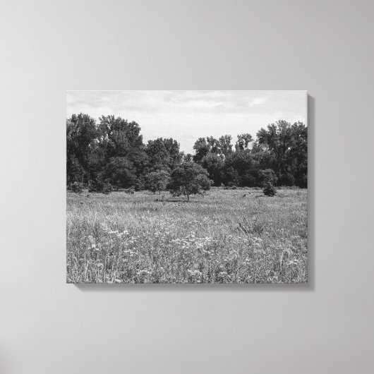 Still Prairie, Cloudy Sky Leinwanddruck (Vorderseite)