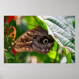 Still sitzen poster