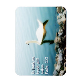 Still Waters Scripture Inspiration Foto Magnet