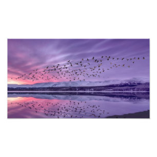 Stille Abendgewässer unter rosa und violettem Himm Fotodruck