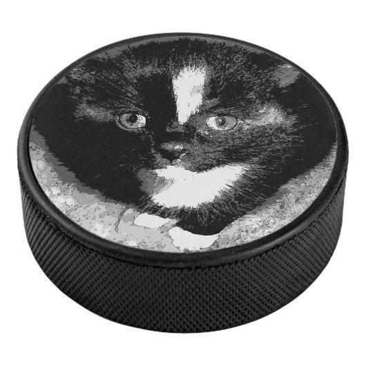 Stille Beobachter Eishockey Puck (3/4)