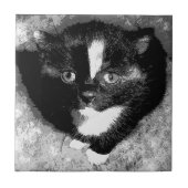 Stille Beobachter Fliese (Vorderseite)