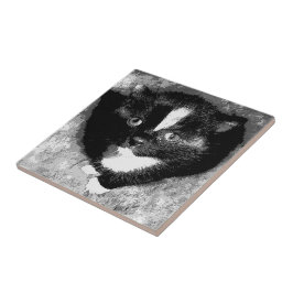 Stille Beobachter Fliese