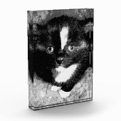 Stille Beobachter Fotoblock (Links)