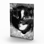 Stille Beobachter Fotoblock (Rechts)