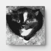 Stille Beobachter Fotoplatte (Vorderseite)