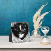 Stille Beobachter Fotoplatte (InSitu)