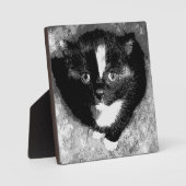 Stille Beobachter Fotoplatte (Vorderseite)