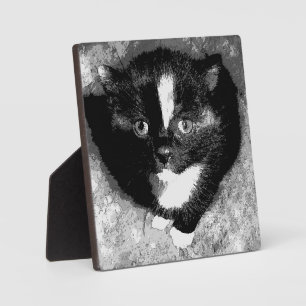 Stille Beobachter Fotoplatte