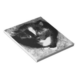 Stille Beobachter Notizblock